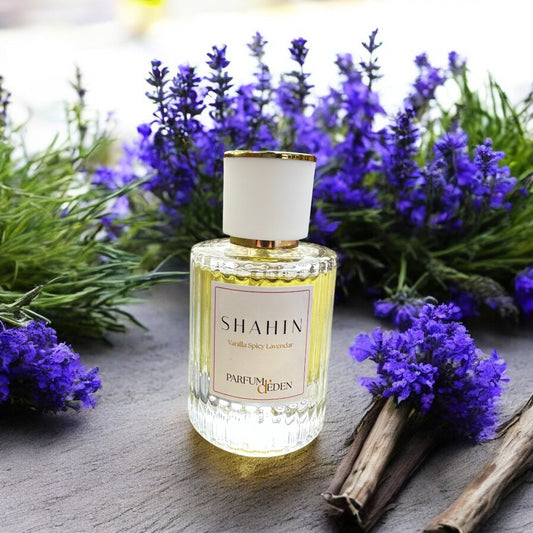 Shahin (Vanilla Spicy Lavender)